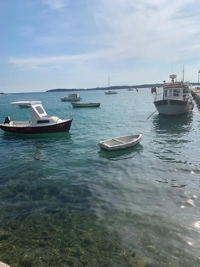 Apartment Creo Loborika Marcana Croatia